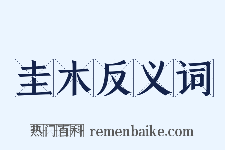 圭木反义词是什么意思的图片